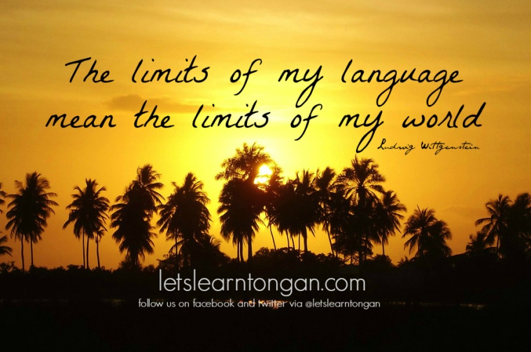 The limits of my language